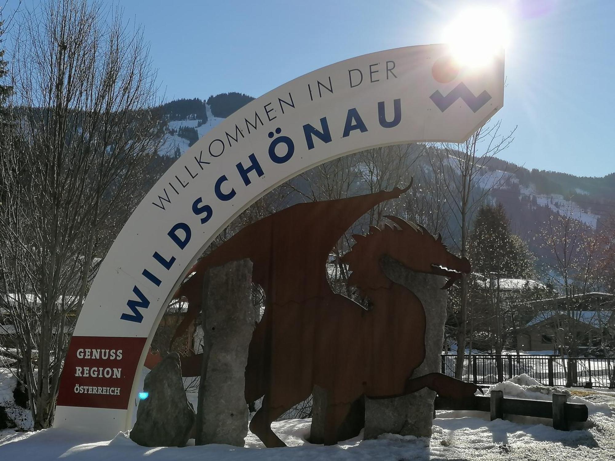 Gittis Ferienwohnung Panorama Wild31 Bernau  المظهر الخارجي الصورة