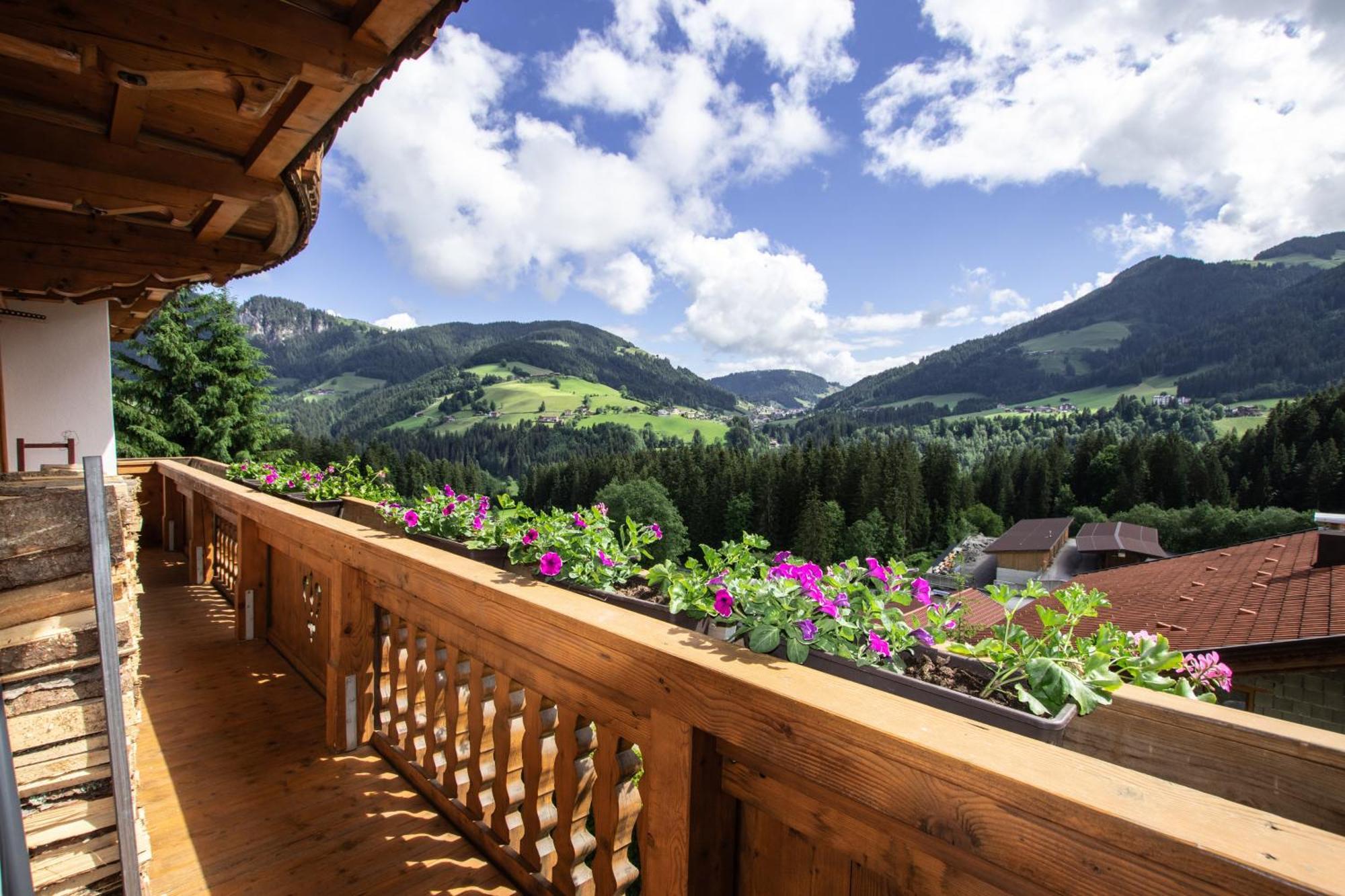 Gittis Ferienwohnung Panorama Wild31 Bernau  المظهر الخارجي الصورة